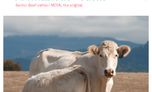 Aromabiotic-cattle-beef ENG