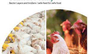 Salbiotic Poultry ENG