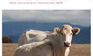 Aromabiotic-cattle-beef ESP