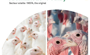 Aromabioticpoultry FR