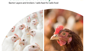 Salbiotic-poultry FR