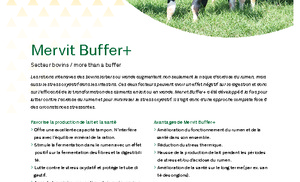 Mervit Buffer FR