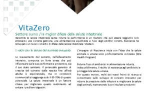 Vitazero IT