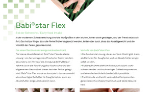 BabistarFlex DE