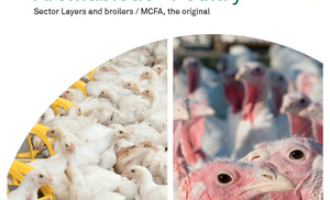 Commercial Leaflet_Aromabiotic Poultry_ENG.pdf