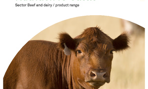 N4U_Cattle_eng.pdf