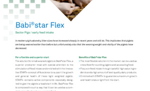 Babistar Flex ENG.pdf