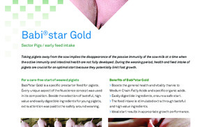 Babistar Gold ENG.pdf