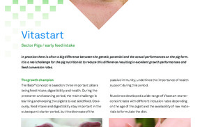 Vitastart ENG.pdf