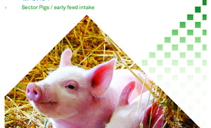 Babi overview ENG.pdf