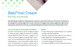 Babimel Cream ENG.pdf