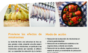 Vitafix Poultry Select plus.pdf