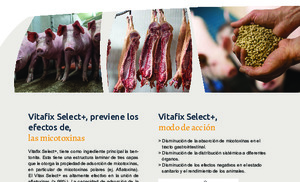 Vitafix pigs Select+.pdf