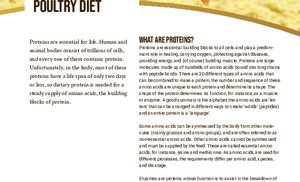 The foundational principles of protein in the poultry diet.pdf