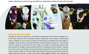 Boosting calf immunity through MCFA in mothers diet.pdf